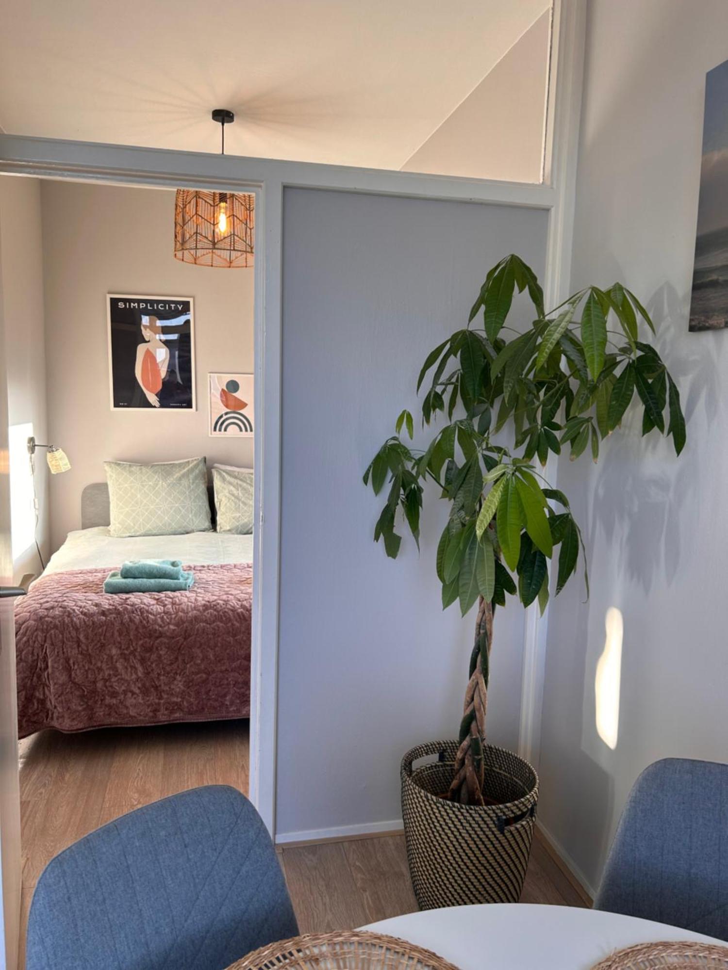 Amsterdam Beach Apartment 17, Incl Parking + Garden ザントフォールト エクステリア 写真